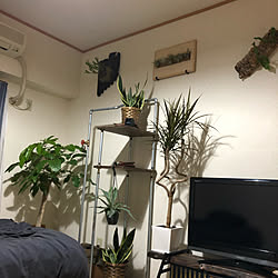 ハンガーラックDIY/鉄パイプ/観葉植物/DIY/エアープランツ...などのインテリア実例 - 2019-10-10 00:38:00