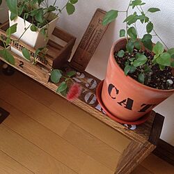 リビング/植物/DIYのインテリア実例 - 2014-08-21 11:35:01