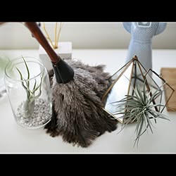 REDECKER/レデッカー/棚/観葉植物/IKEA...などのインテリア実例 - 2015-04-28 22:21:01