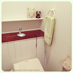 バス/トイレ/トイレ改造計画/DIY/タンクレスのインテリア実例 - 2014-02-01 17:12:46