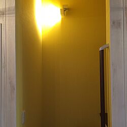 壁/天井/黄色/階段の壁のインテリア実例 - 2014-10-25 12:52:25