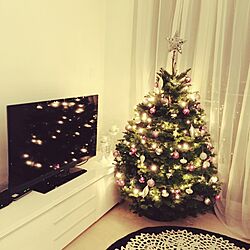 クリスマスツリー/クリスマス/観葉植物/照明/部屋全体のインテリア実例 - 2016-05-02 19:55:06