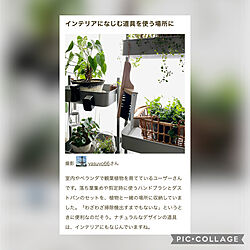 部屋全体/2人暮らし/部屋全体ではありません/掲載ありがとうございます♡/RoomClip mag 掲載のインテリア実例 - 2024-04-11 22:01:09