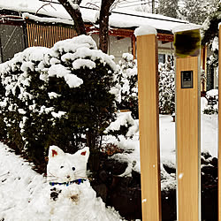 片流れ/猫を作ったはずなのに…/雪だるま/積雪の準備/和モダンインテリア...などのインテリア実例 - 2023-02-10 20:34:17