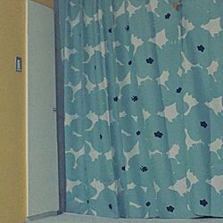 玄関/入り口/黄色い壁/ブルー/かわいい/カーテン...などのインテリア実例 - 2016-04-14 21:49:35