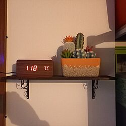 ウォールシェルフDIY/デジタル時計/観葉植物/ベッド周りのインテリア実例 - 2024-01-19 15:34:05