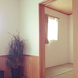 リビング/観葉植物/和室/窓のインテリア実例 - 2014-05-11 16:28:57