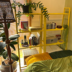 棚/ベッド周り/観葉植物/IKEA/カラフル...などのインテリア実例 - 2024-03-24 06:39:13