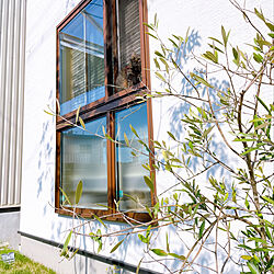 住友林業の家/貝殻の壁/窓が好き/あたしはおはぎ/オリーブの木...などのインテリア実例 - 2022-08-04 21:03:19