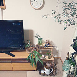 リビング/観葉植物のある暮らし/IKEAの踏み台/和室リビングのインテリア実例 - 2022-09-06 22:00:07