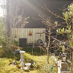 玄関/入り口/ガーデンのインテリア実例 - 2013-11-21 13:01:38