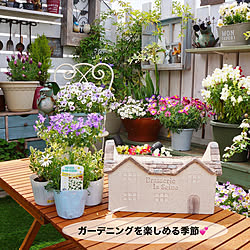 花の寄せ植え/春支度/ベランダガーデニング/ベランダガーデン/ガーデン雑貨...などのインテリア実例 - 2021-04-04 08:28:00