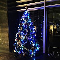玄関/入り口/ラウンジ/クリスマスツリーのインテリア実例 - 2015-12-06 17:42:13