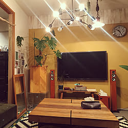 journal standard Furniture/観葉植物/DIY/壁掛けテレビ/壁紙DIY...などのインテリア実例 - 2020-04-12 22:26:20