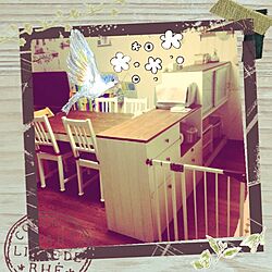 キッチン/DIY/リメイク/賃貸のインテリア実例 - 2014-08-09 15:24:20