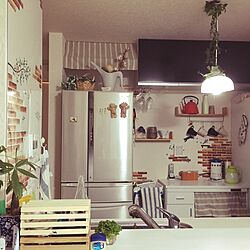キッチン/冷蔵庫の上/DIY/北欧好き/フェイクグリーン...などのインテリア実例 - 2016-12-07 19:16:05