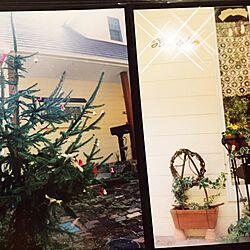 玄関/入り口/クリスマスツリー/シンボルツリー/昔の写真/花壇ＤＩＹのインテリア実例 - 2016-11-21 12:06:01