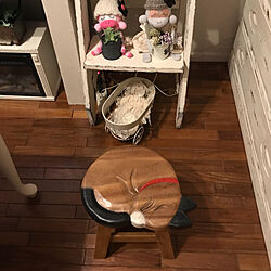 ビスクドールベビー手作り/ソクモンちゃん手作り/ラダーラック DIY/猫椅子/いつも見てくださって、感謝です♡...などのインテリア実例 - 2019-08-19 09:00:48