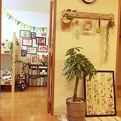 部屋全体/入口付近/すみっコぐらし/観葉植物/本棚...などのインテリア実例 - 2017-06-01 18:00:39