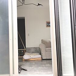 部屋全体/フレブル/サンルーム/IKEA/DIYのインテリア実例 - 2017-05-03 21:21:16