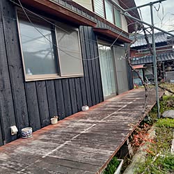 壁/天井/モニター応募投稿/ねこと暮らす/木の家/無垢材...などのインテリア実例 - 2023-03-16 09:39:49