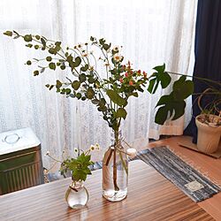 机/モンステラ/花のある暮らし/植物のある暮らし/IKEA...などのインテリア実例 - 2017-04-24 18:24:29