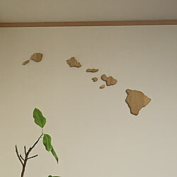 リビングの壁/壁飾り/ハワイ諸島/RoomClipアンケート/すっきり暮らす...などのインテリア実例 - 2021-10-19 20:29:32