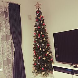 リビング/クリスマスツリーのインテリア実例 - 2016-12-25 22:01:31