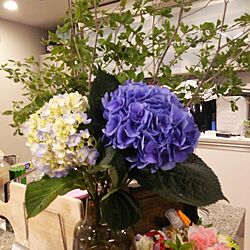 キッチン/お花を飾る/フローラ/楽天で買ったもののインテリア実例 - 2017-06-29 23:00:17