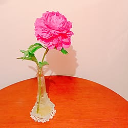 机/Flowers/観葉植物のインテリア実例 - 2017-06-07 21:16:38