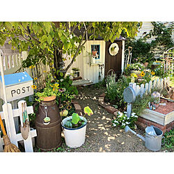 庭/ガーデニング/DIY/小屋/夏の庭...などのインテリア実例 - 2022-08-09 14:20:07