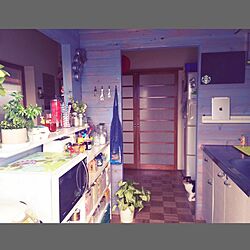 キッチン/DIYのインテリア実例 - 2015-02-17 21:20:29