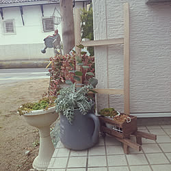 玄関/入り口/植物が好き/雑貨大好き♡/多肉体植物たち/DIY...などのインテリア実例 - 2017-12-11 09:48:56