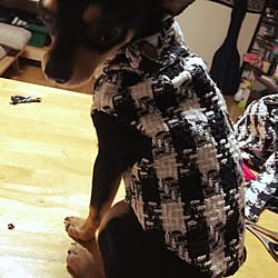 机/愛犬服屋さん/リメイク/愛犬大好き❣️/ペット...などのインテリア実例 - 2015-12-25 21:13:54