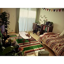 部屋全体/観葉植物/一人暮らし/1K/ネイティブ柄のインテリア実例 - 2015-12-07 23:50:29