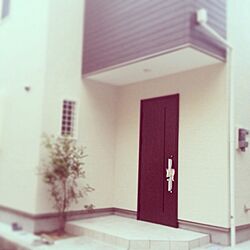 玄関/入り口/観葉植物のインテリア実例 - 2014-01-17 23:30:11