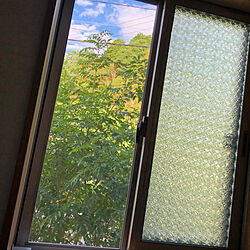 リビング/窓から見える緑/窓のインテリア実例 - 2019-08-07 18:56:54