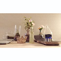 棚/植物/一人暮らし/賃貸/ワンルームのインテリア実例 - 2017-01-29 21:32:03