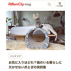 RoomClip mag/爪研ぎ/古い家/ペットと暮らす家/ペットと暮らすインテリア...などのインテリア実例 - 2023-09-27 09:59:17