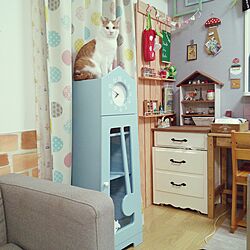 部屋全体/ねこばかりですいません/ねこのいる風景/高知の家/茶とら...などのインテリア実例 - 2016-02-18 19:52:35