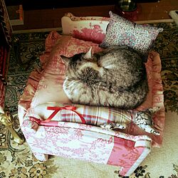 ベッド周り/猫ベッド作成中…/インテリアージュ/IKEAのドールベッド/猫のいる部屋...などのインテリア実例 - 2015-04-26 12:40:50
