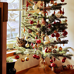 クリスマス/和風クリスマス/IKEA/猫と暮らす家/リビングのインテリア実例 - 2022-12-03 13:58:21