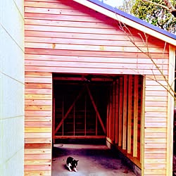 玄関/入り口/犬と暮らす/フレンチブルドッグ/犬小屋/バイクガレージ...などのインテリア実例 - 2016-02-07 09:43:39