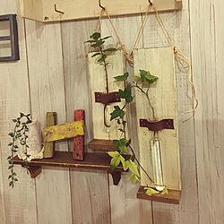 壁/天井/DIY/ナチュラル/観葉植物/ハンドメイドのインテリア実例 - 2016-11-05 20:24:57