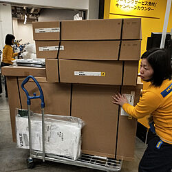 リビング/IKEA/タマホームのインテリア実例 - 2019-03-17 18:53:27