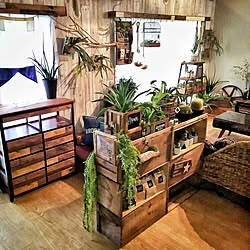 机/いなざうるす屋さん/団地　賃貸/植物のある暮らし/定点観測...などのインテリア実例 - 2016-07-15 20:32:13