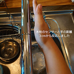 キッチン/タッチレス水栓/kvk水栓のインテリア実例 - 2022-08-06 16:35:41