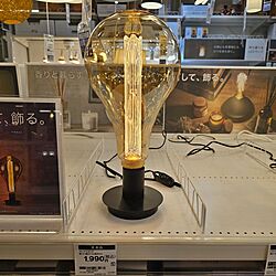 ニトリ/ライトスタンド/灯して飾る/鑑賞する電球のインテリア実例 - 2024-04-01 22:00:52