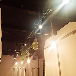 壁/天井/LED電球/照明/いなざうるす屋さんのインテリア実例 - 2016-07-07 23:16:01