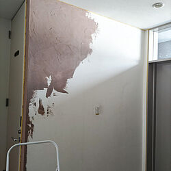 壁/天井/DIY/セルフリノベーション/玄関の壁/珪藻土の壁...などのインテリア実例 - 2022-10-22 21:51:03